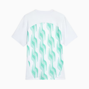 Camisa Puma Palmeiras 2025/26 Pré-Jogo